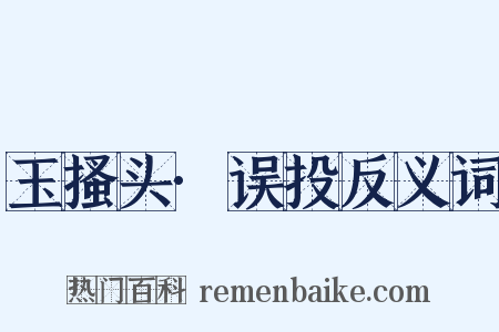 玉搔头·误投反义词是什么意思的图片